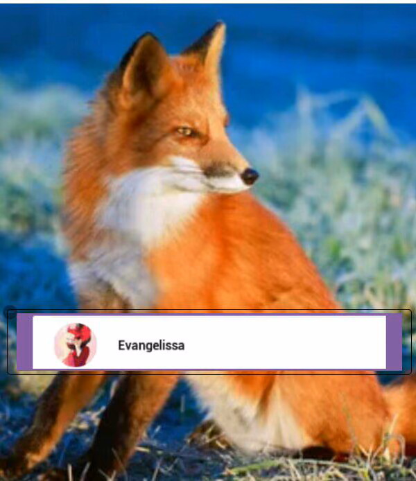 9e605196ac92491c07f6e0dfde9962f1.avif
