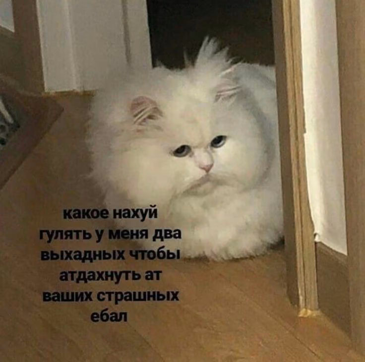 9e6695769cc1468920e8238ad237073a.avif