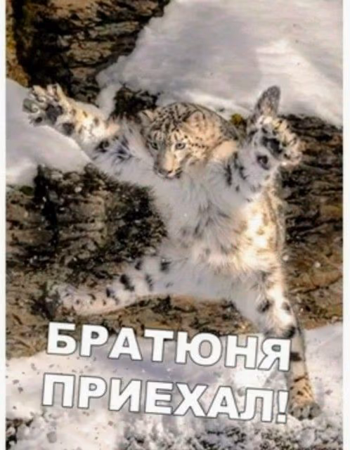 9e768144a64c4e60c434b5100633da7f.avif