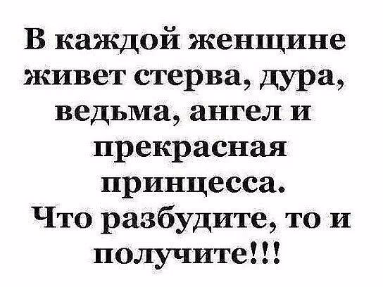 9e7ad8ed75a39e4d51b0f9fd5cd85d59.avif