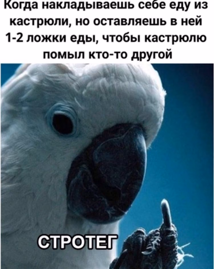 9e898950c5d8a4db332e2576272b9760.jpg