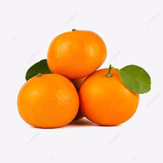 9e8cb3943187be2451a36a2b2b748f0b.avif