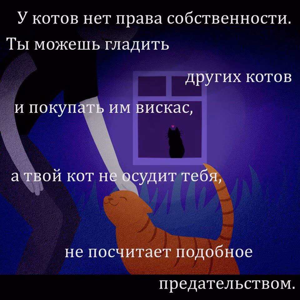 9e8e00d7835a5f0c783496c7477d64be.jpg