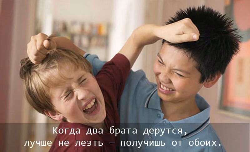 9eba7d781dc8d6781978c4b35eb6f0b7.jpg