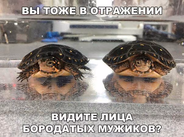 9ec9f3eed12907d08466bad86145039c.jpg