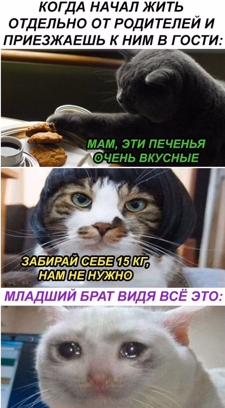 9ecb9341ed633783f4bdc6a1a799e037.jpg