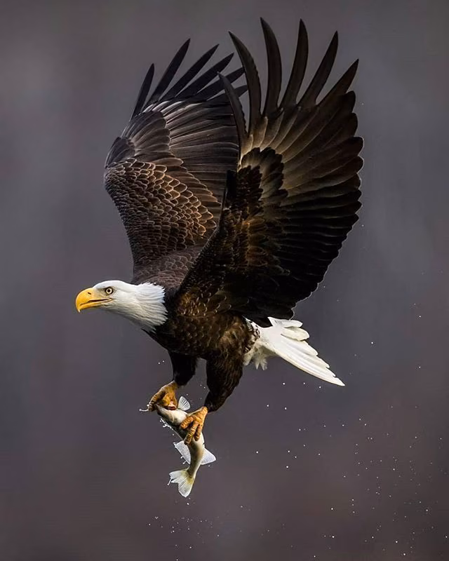 9ed076316b6ad86301eebf9bab520329.avif