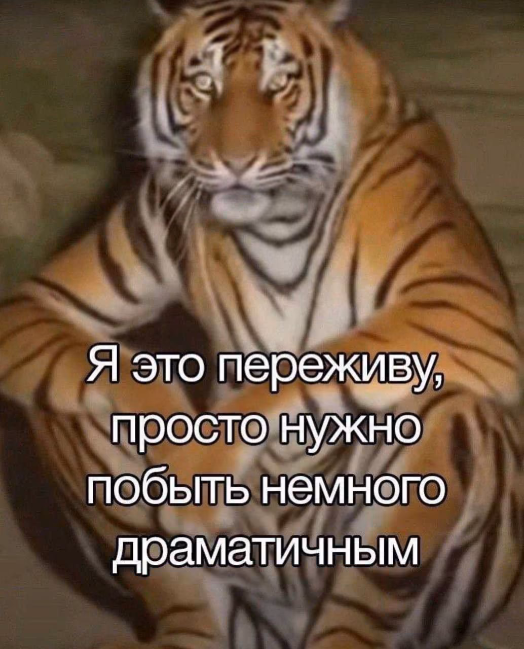 9ee6871729b3a384ee6210db8bd0fd93.avif
