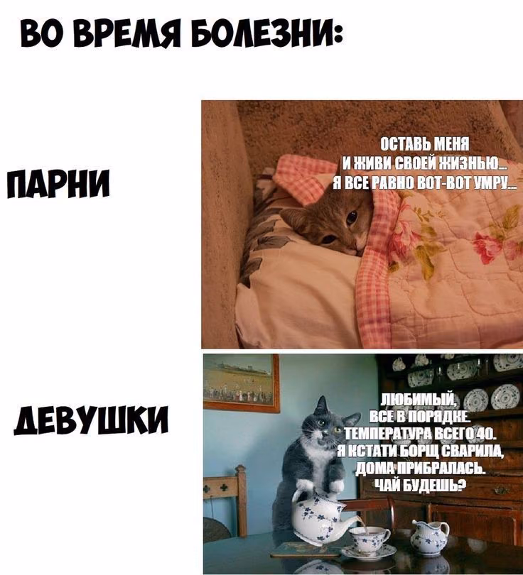 9f1830431856b47095be4d28f0d4a571.avif