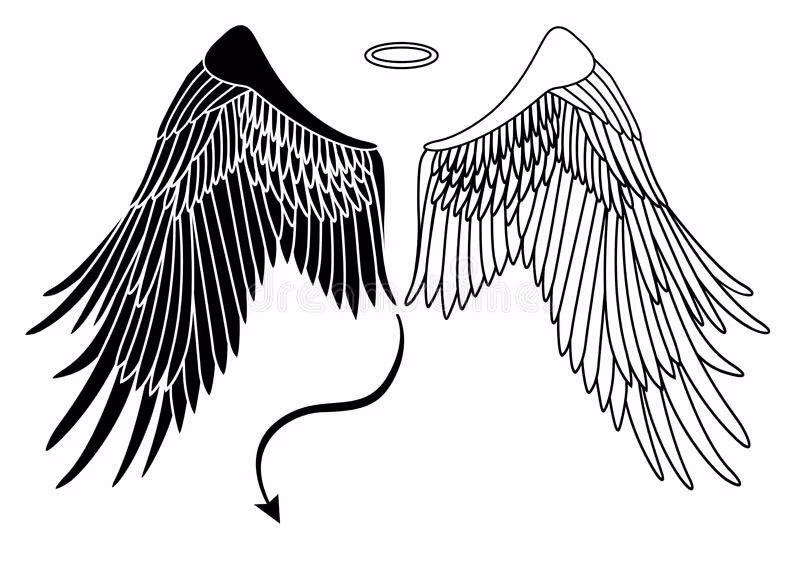 9f22cb6351f9c1a3ec3d410a1d48c14d.avif