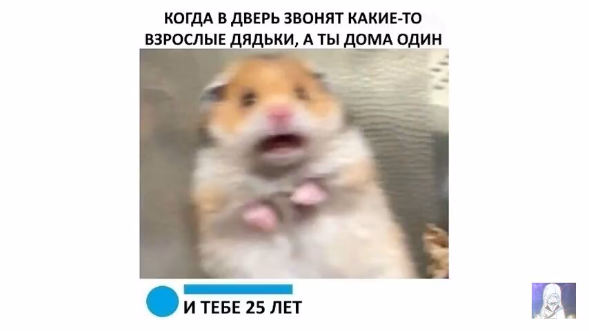9f24dc38ef3681cffe1b746e1241ada1.jpg