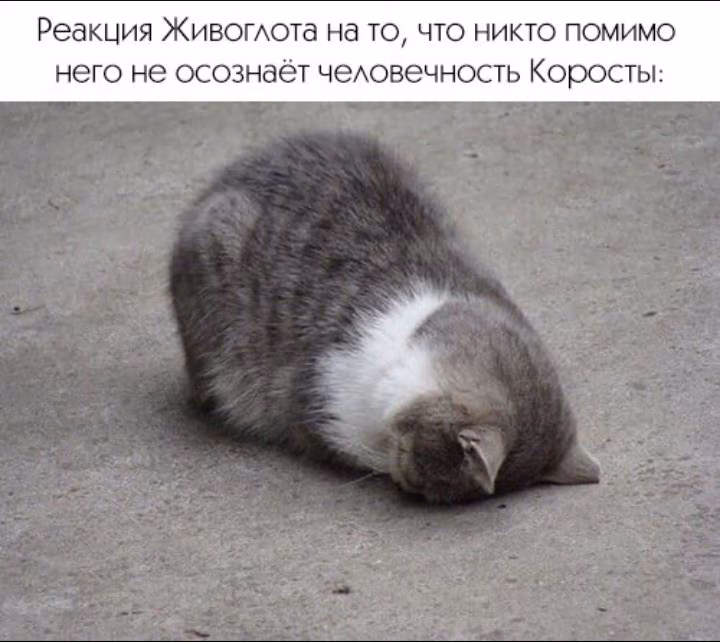 9f2c8eb5c5ac9847f3490186d11ab747.avif