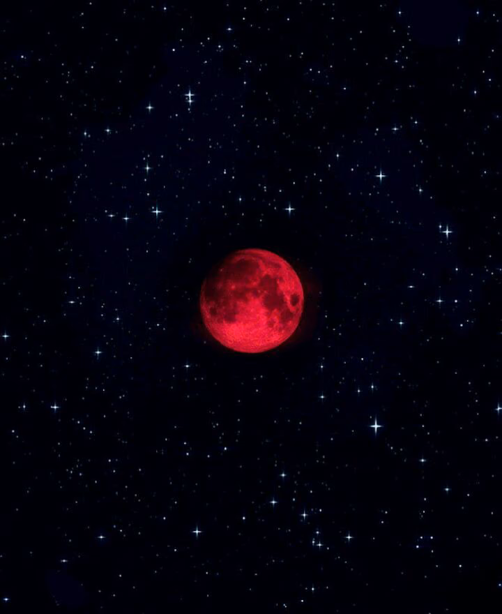 9f356f813222824f76a2b1857d88a6de.jpg