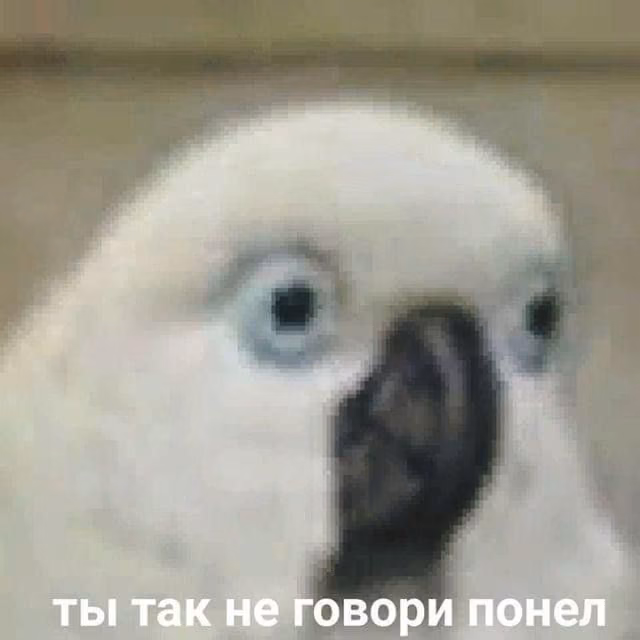 9f367a37fd9b728417b6b8cf2e6dad3c.avif