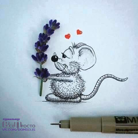 9f3b6d6cf181c9433e9a7551cba999fd.avif