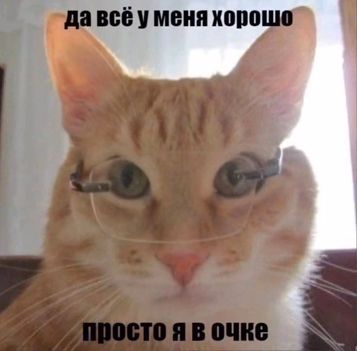 9f4e853f8e338998510bfc70b6d599ac.avif