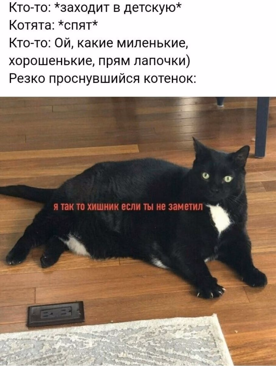 9f573553145d06ba4074fbfecec863fa.jpg