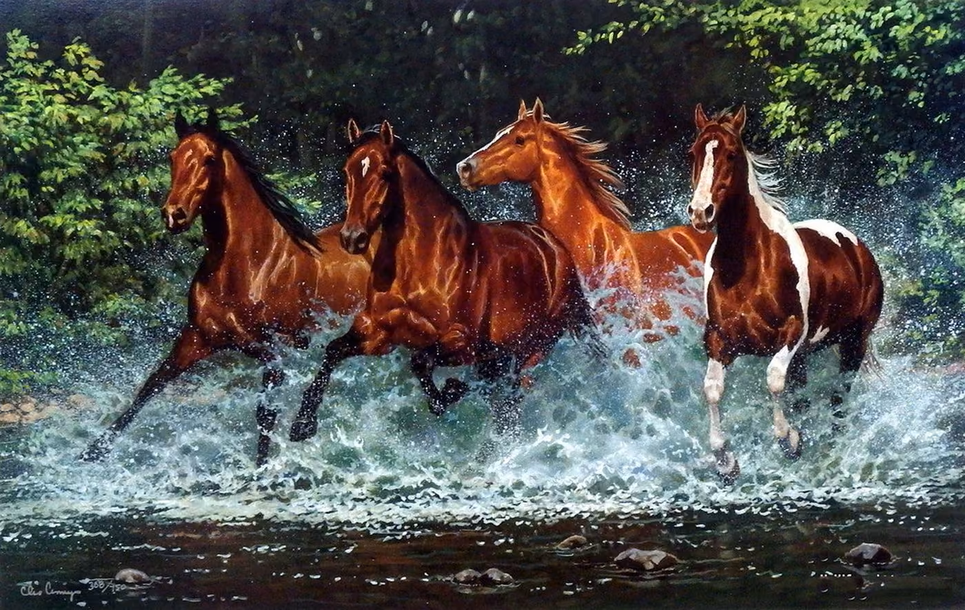 9f59715c7ce730f5fc26c5a7cec48f96.jpg