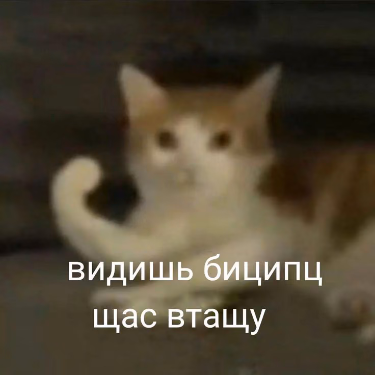 9f6dbcaefc551039b94cf141e2de3f19.jpg