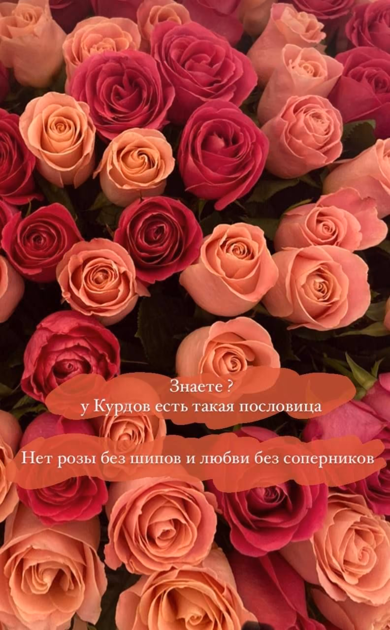 9f73139bea8daab0f0e66d7708f8b8c7.avif