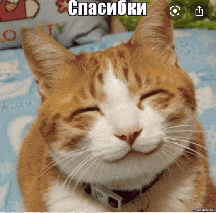 9f7759e48873b3d7f574fa605d4a47a4.jpg