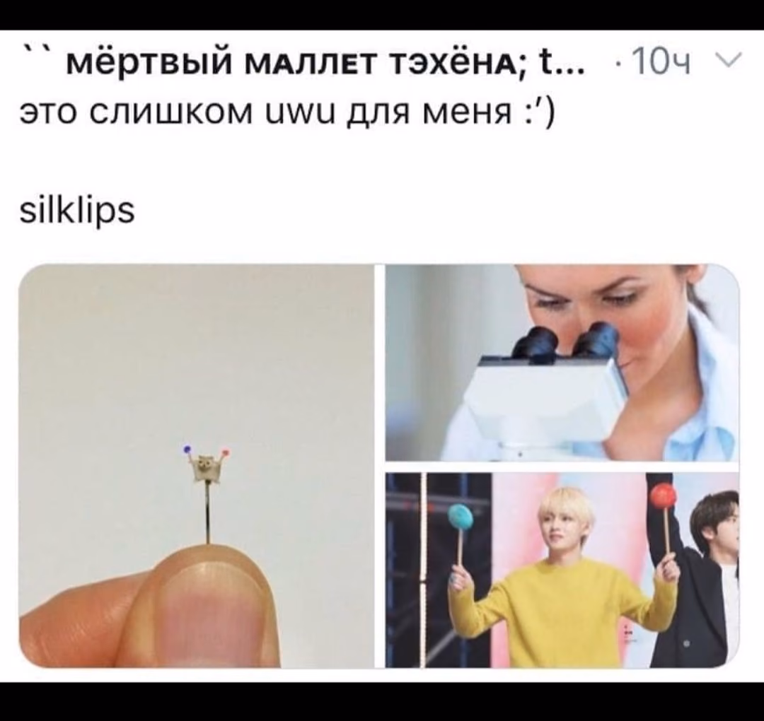 9f82bc01a6fbec3e427be6e638093f83.avif