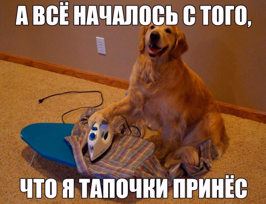 9f839ad89350bd3d0edbf0edbbf3a859.jpg