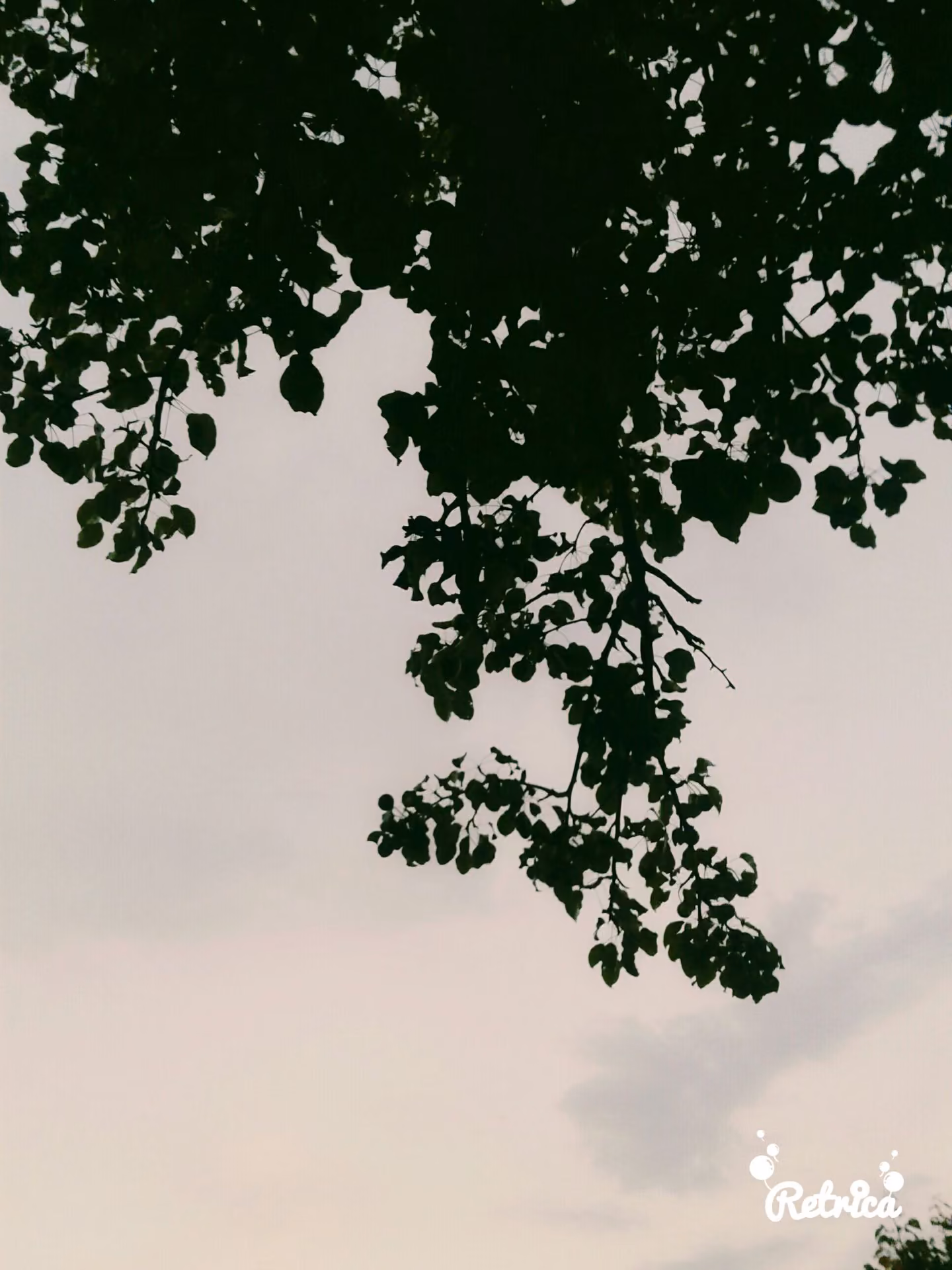 9f9f1daa3880adf9d9e2af5cffc6bf8f.jpg