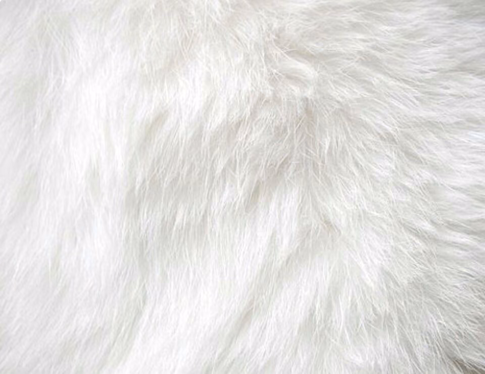 9fa2888b0e87190b9c56900ecb88a4cf.jpg