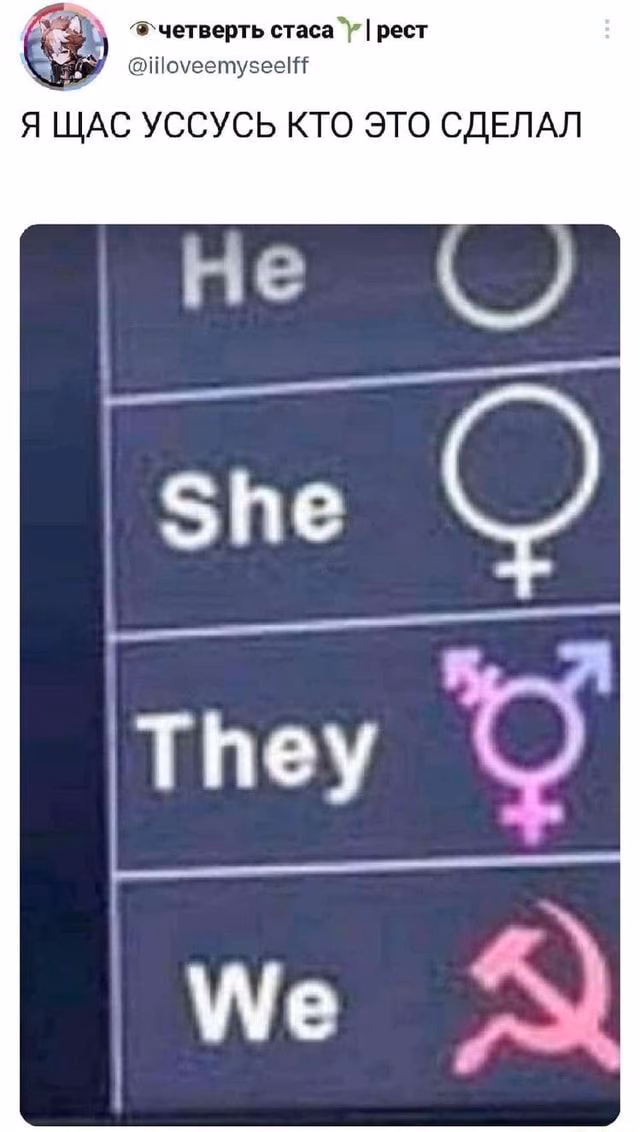 9faed607eb1d43a93fe016138b10825c.avif