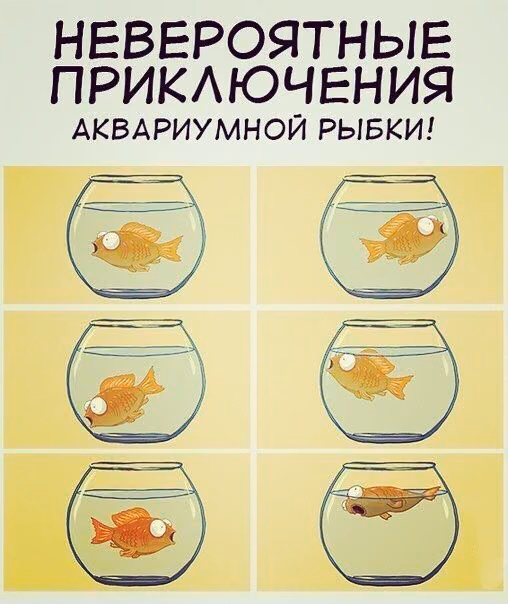 9fb57755299a5498a9cd122ed1ed7298.jpg