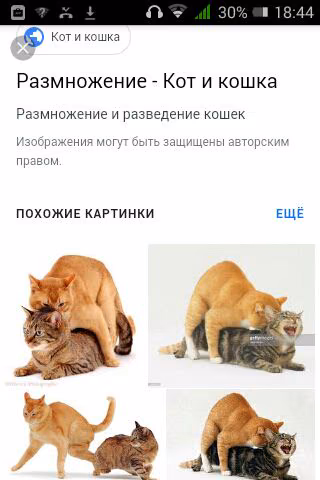9fb7ca3b18b5d3aded3b64ee11dc2216.jpg