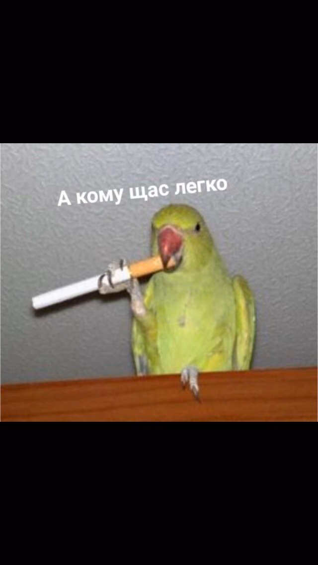 9fcf4fcb7fe0fbbd1d4d6d1c41367cdc.avif