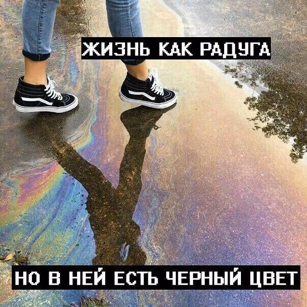 9fd3861511b664fc0566a876af70e42b.jpg