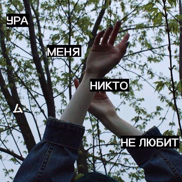 9fdea9ffce784cb8622348018a452ed9.jpg