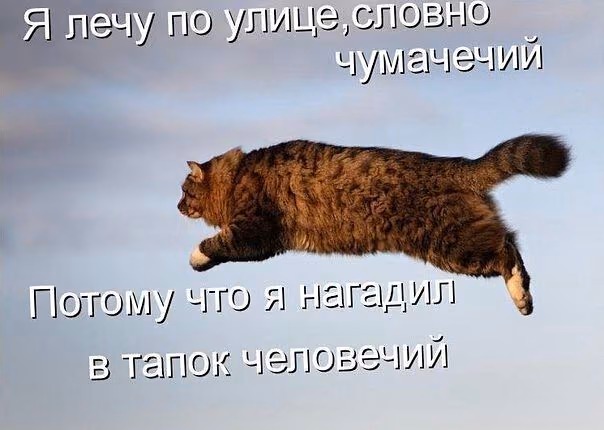 9fe17e6608b4141241fd88f539804a90.avif
