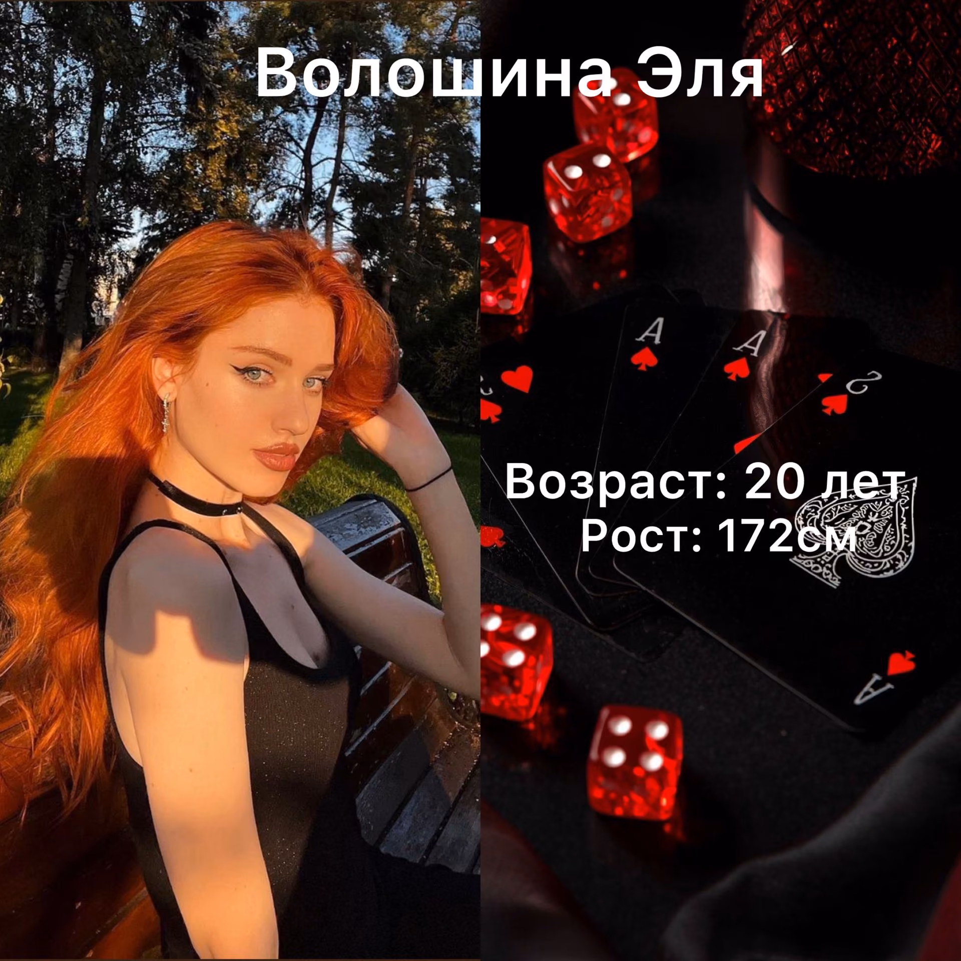 9feb33301021a3301fc1d313aba63f4f.avif