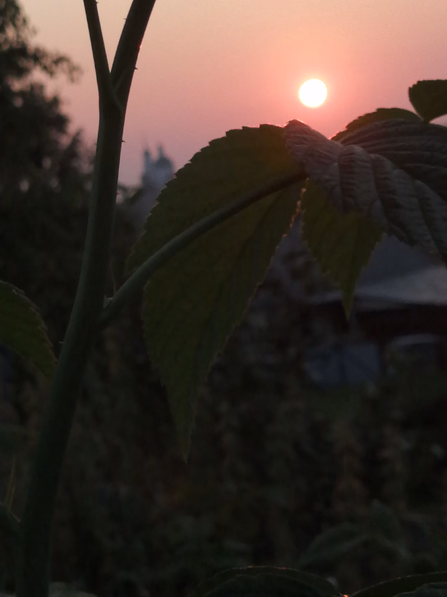 9ff0570c60a726f62ec51221289d68ba.jpg