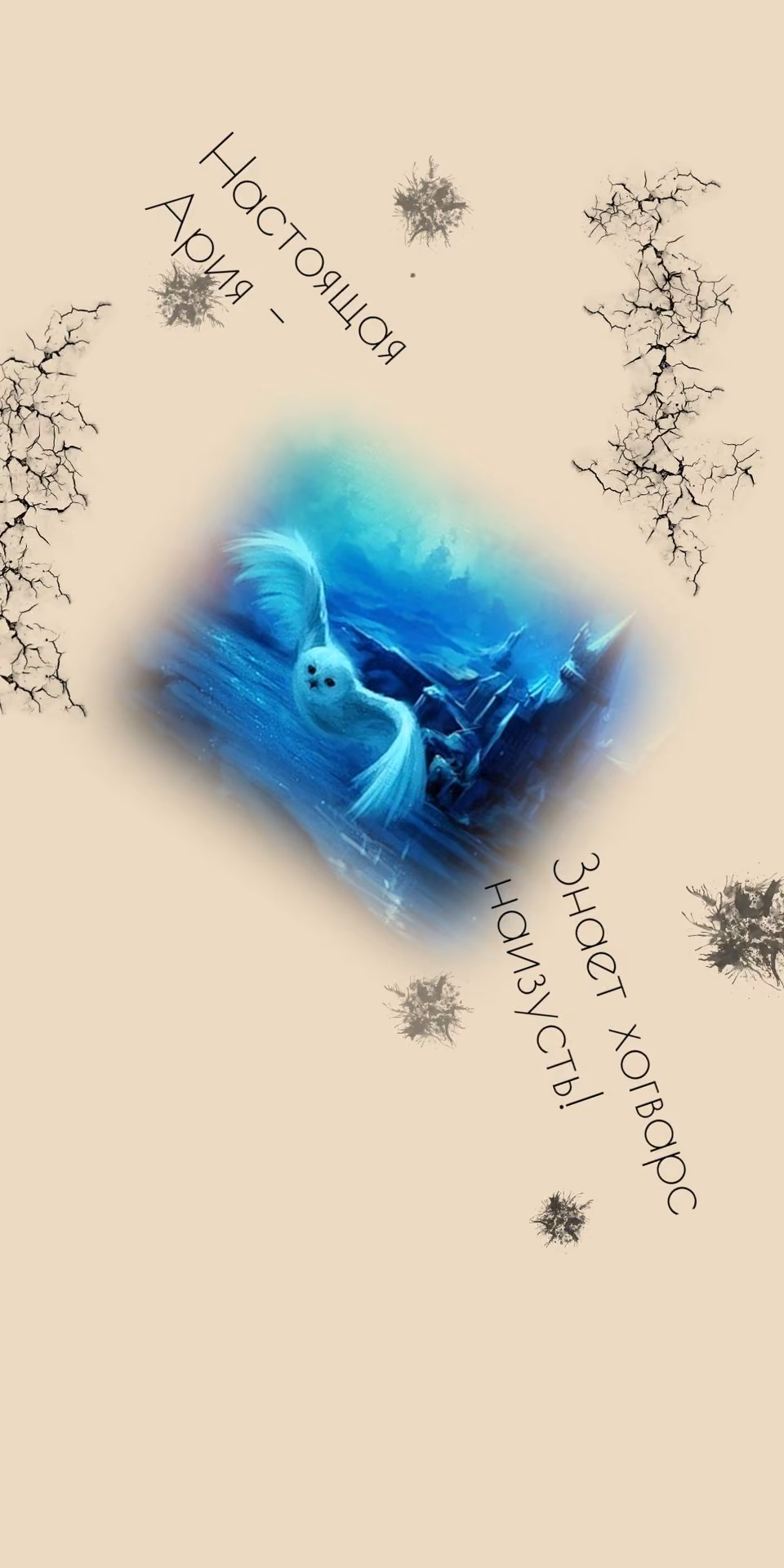 9ff1d0bf050089b4a2dfce0cebb3aa50.jpg