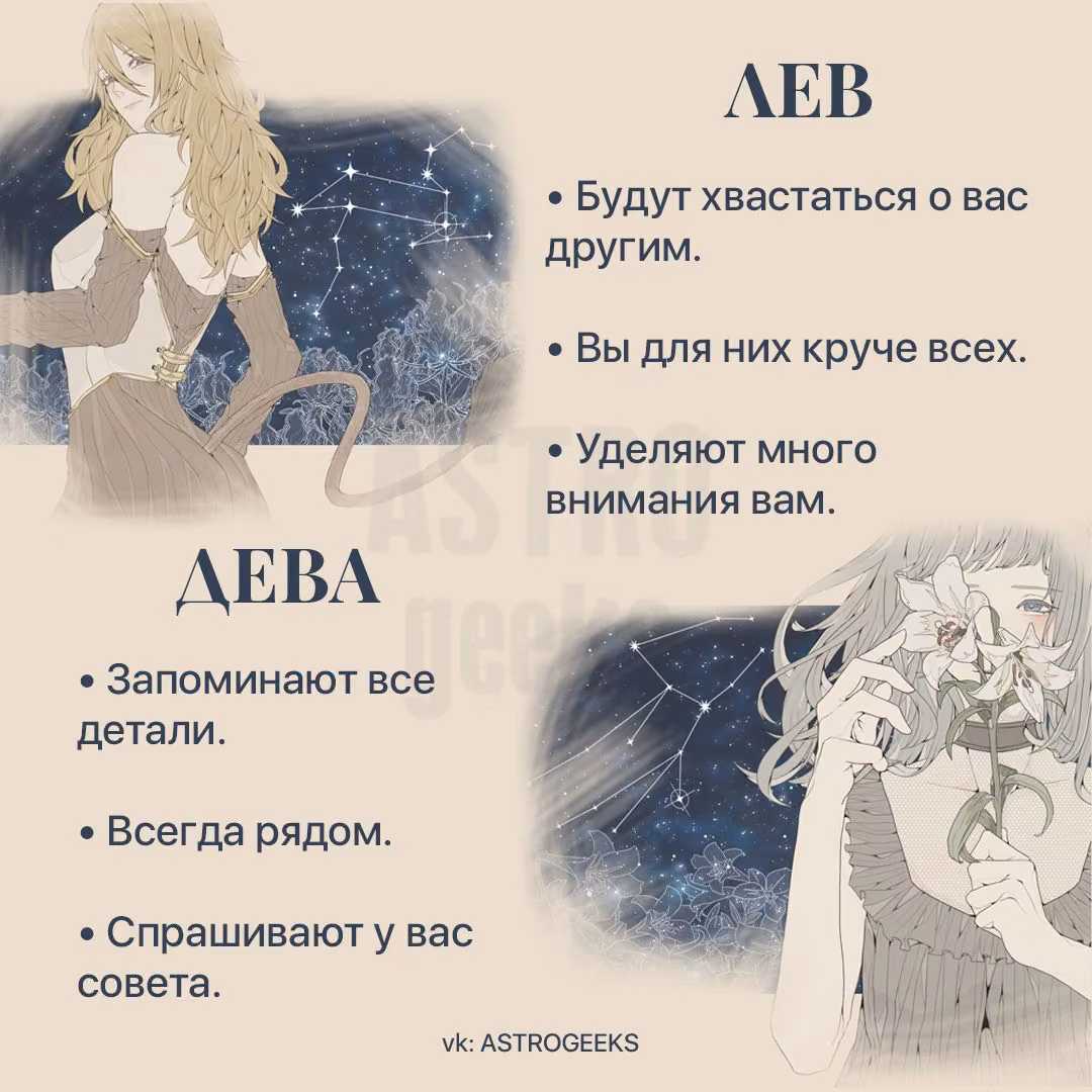 a0083a180ae3fc37cb3b8994154bed49.avif