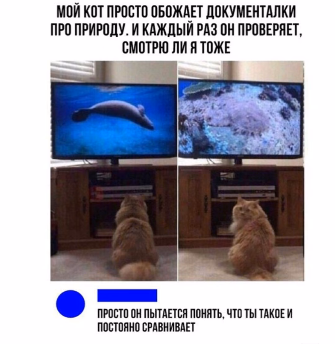 a0121eb4137ca335f05071fecdedbaab.jpg