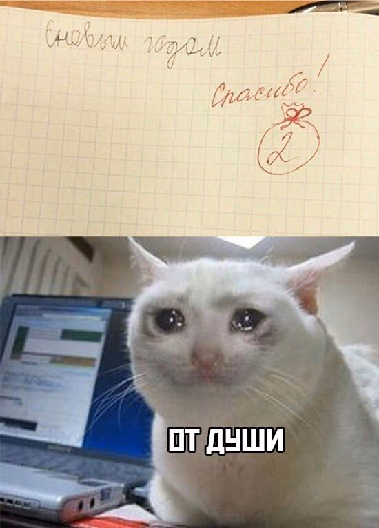 a01318f72ccc71dd7225f5346d004aaa.avif