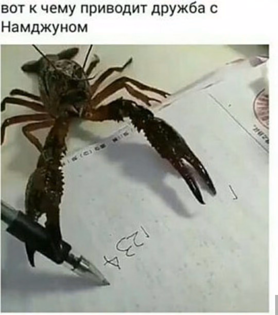 a019f660ac63caaa8e47f5c80758196c.avif