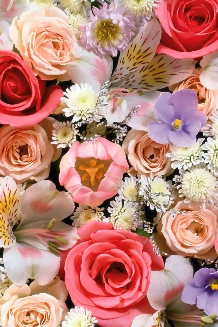 a01cb7c8fb9700820fdd89fd738b00e9.avif