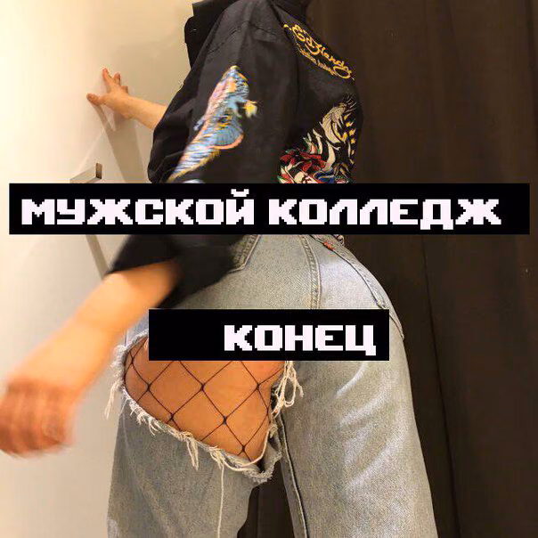 a023222c88576910079f2051c8ac3dd4.avif