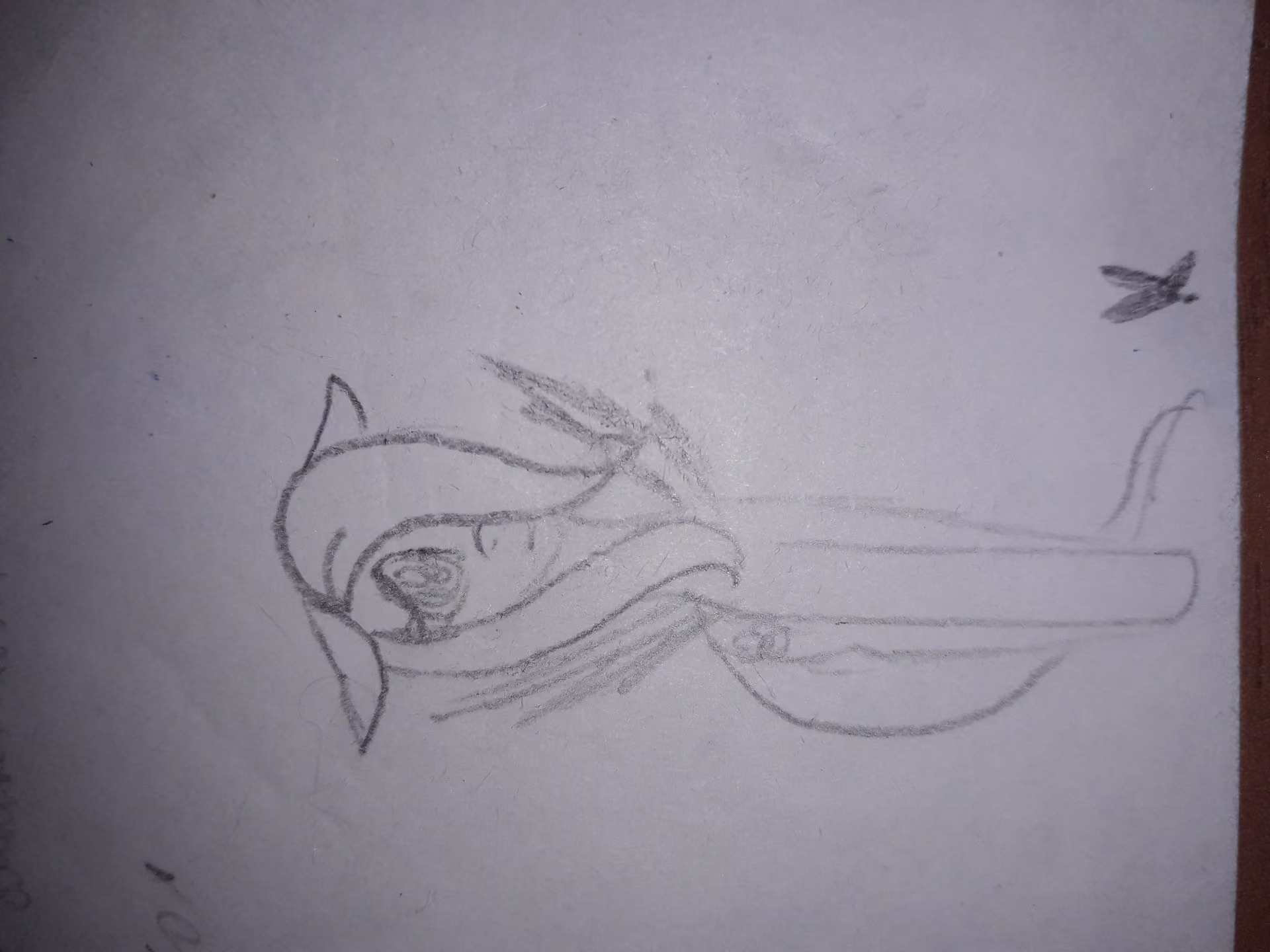 a029b97b5f7b8566bece304b253149ae.avif