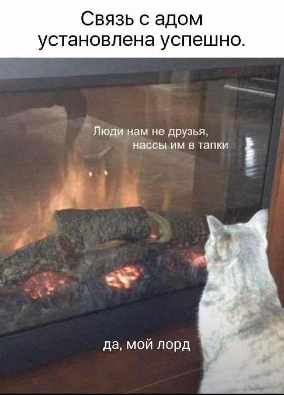 a0437f774bdc5ca80915b1ff145fa97a.avif