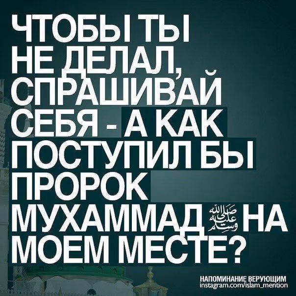 a0448b020c811a70cb4562476764183f.jpg