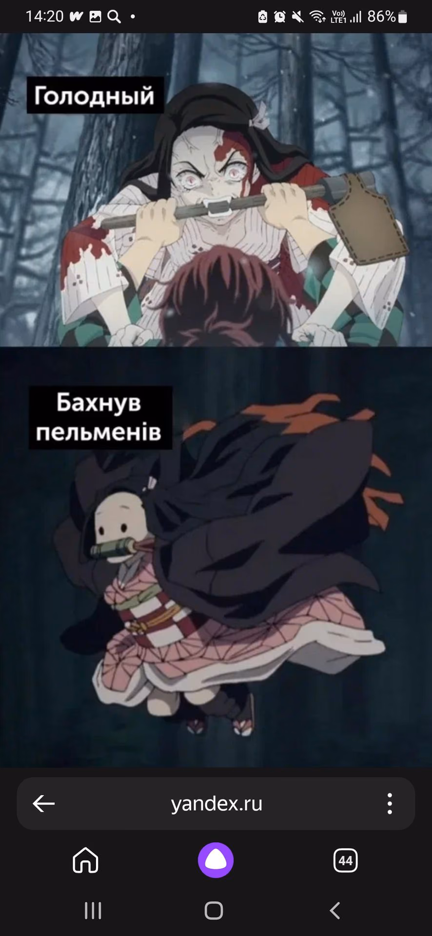a0564f7121cf4ddee655b9fb6a5428a7.avif