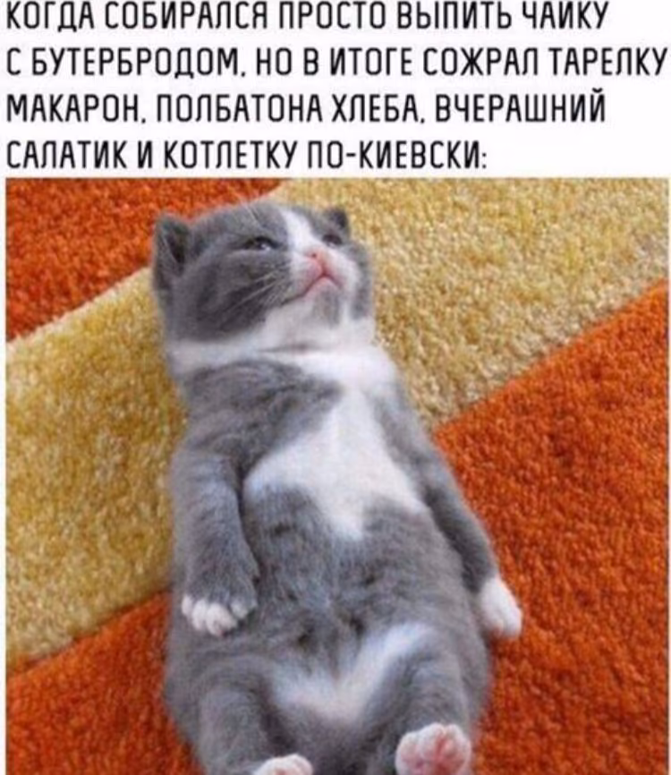 a05c021a993581af2eabb9ac259b11b4.jpg